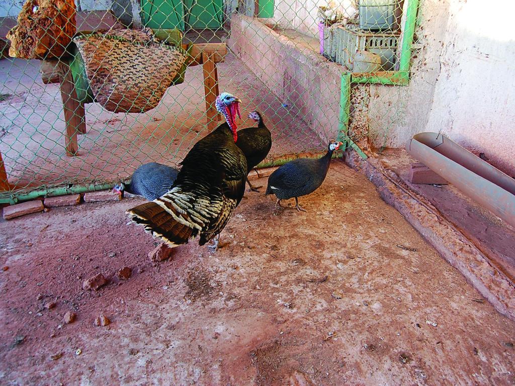 Gite Souss Oulad Teima Luaran gambar