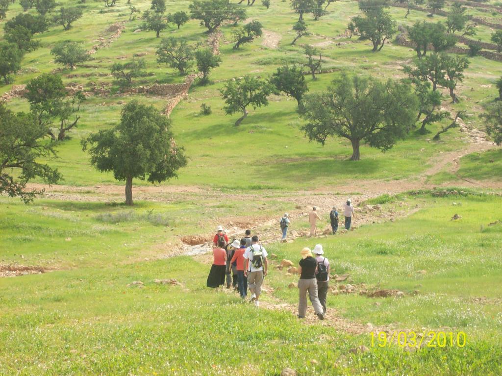 Gite Souss Oulad Teima Luaran gambar